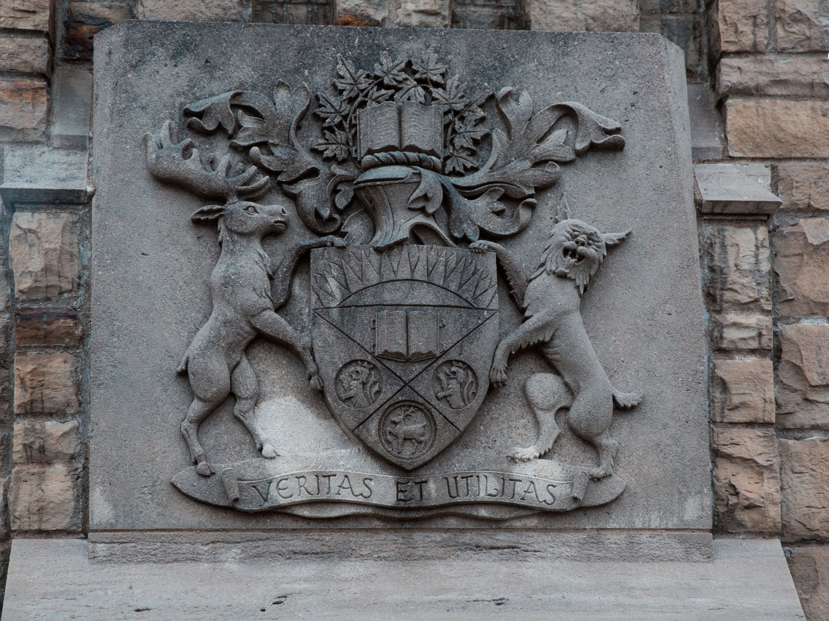 University plaque (Photo)